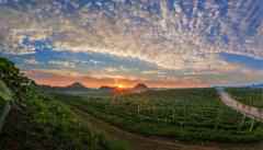 【大国新村：沿着总书记的足迹】建强新